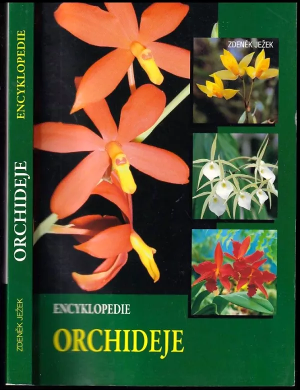 Orchideje