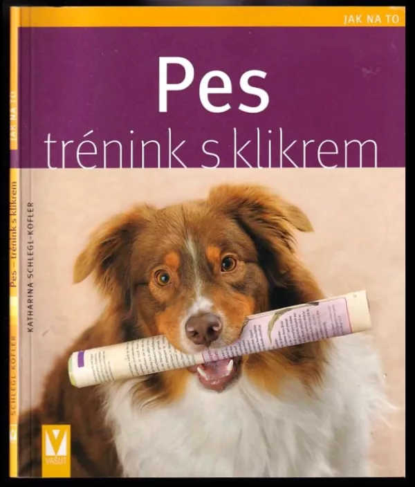 Pes - trénink s klikrem