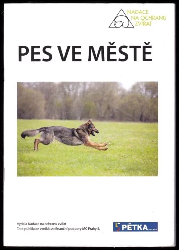 Pes ve městě