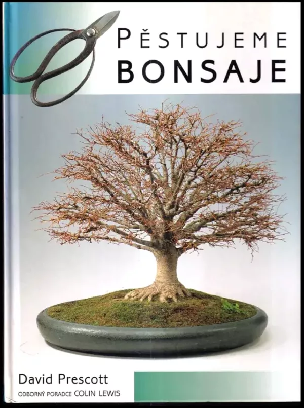 Pěstujeme bonsaje