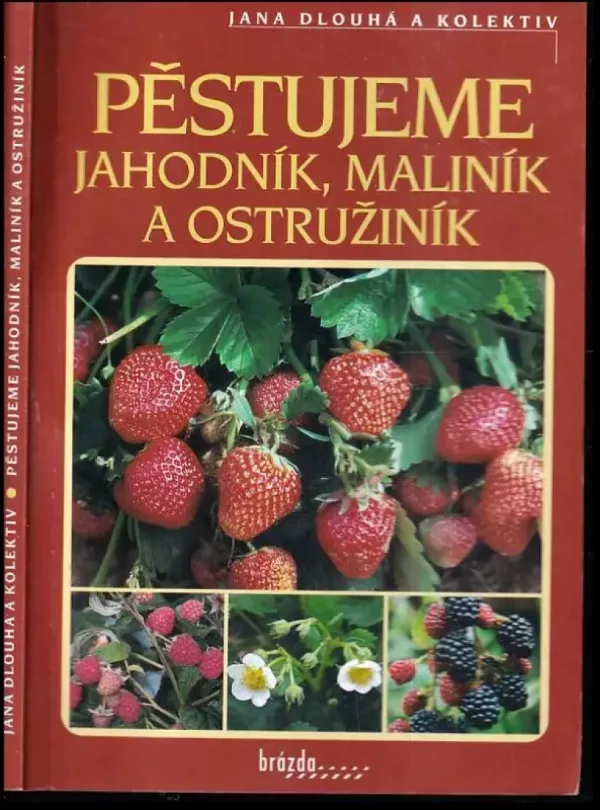 Pěstujeme jahodník, maliník, ostružiník