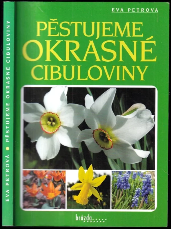 Pěstujeme okrasné cibuloviny
