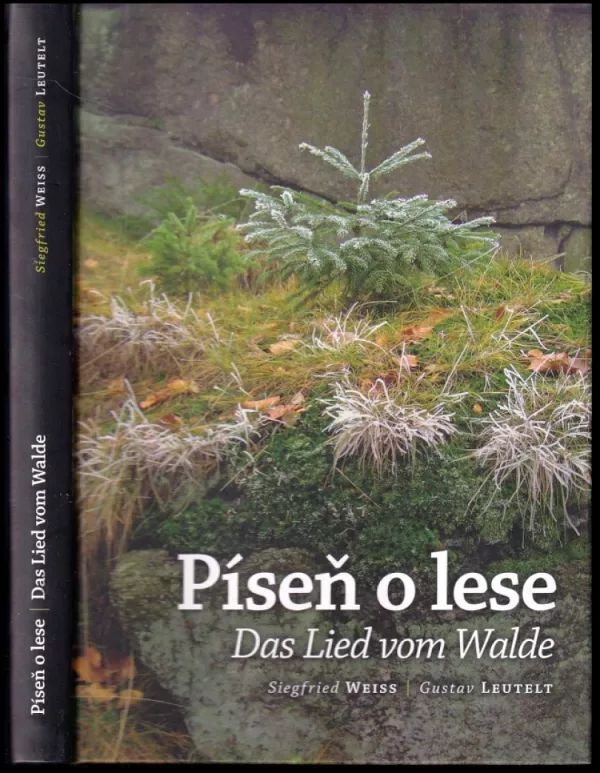 Píseň o lese