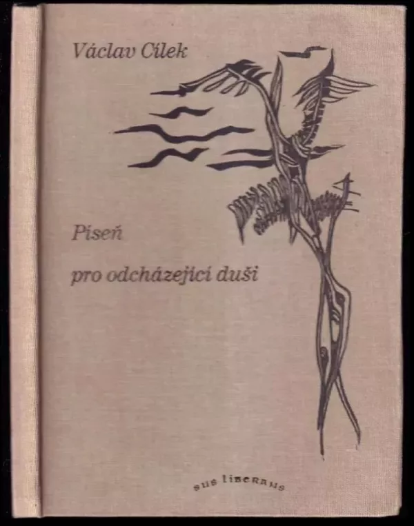 Píseň pro odcházející duši