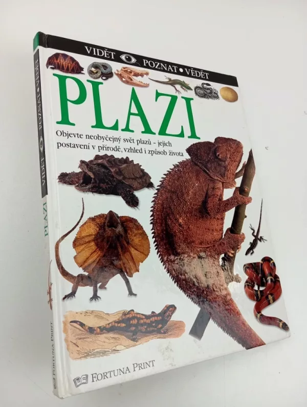 Plazi