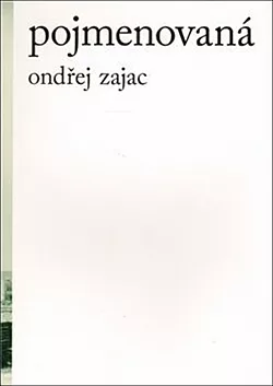 Pojmenovaná