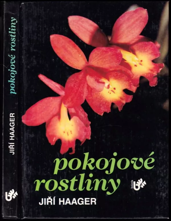 Pokojové rostliny