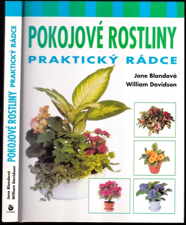 Pokojové rostliny