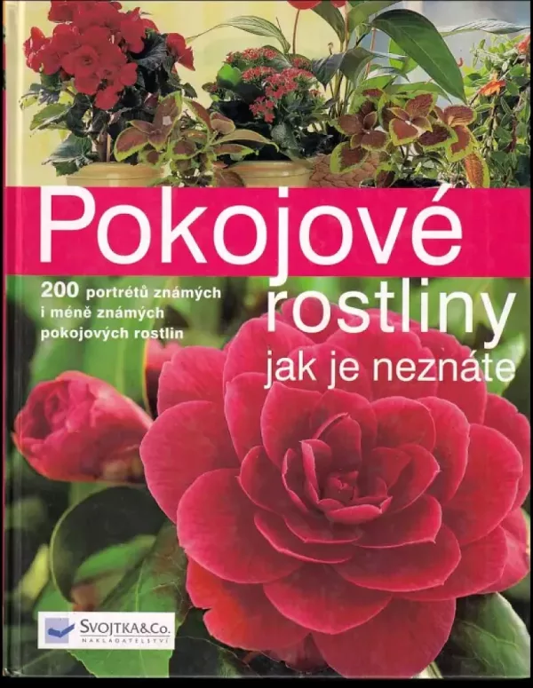 Pokojové rostliny