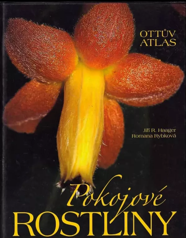 Pokojové rostliny
