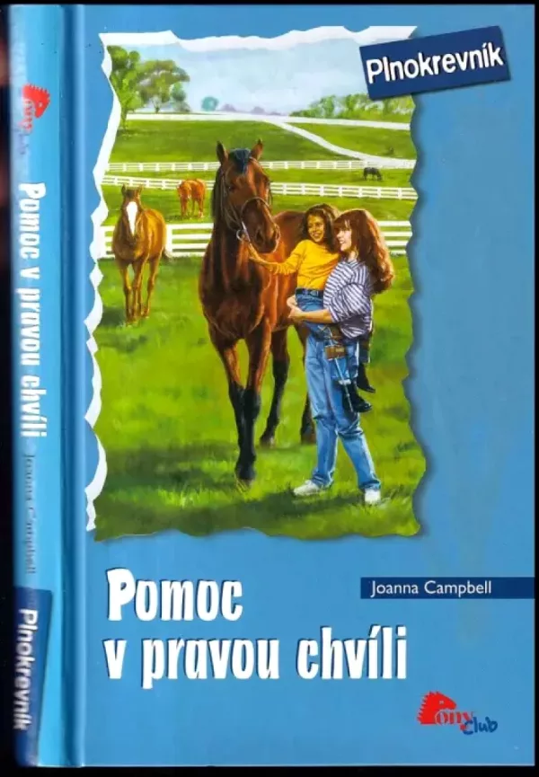 Pomoc v pravou chvíli
