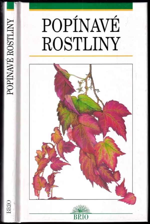 Popínavé rostliny