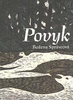 Povyk