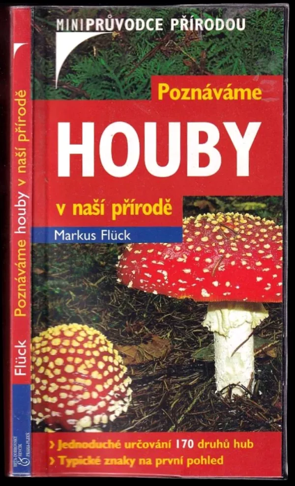 Poznáváme houby v naší přírodě