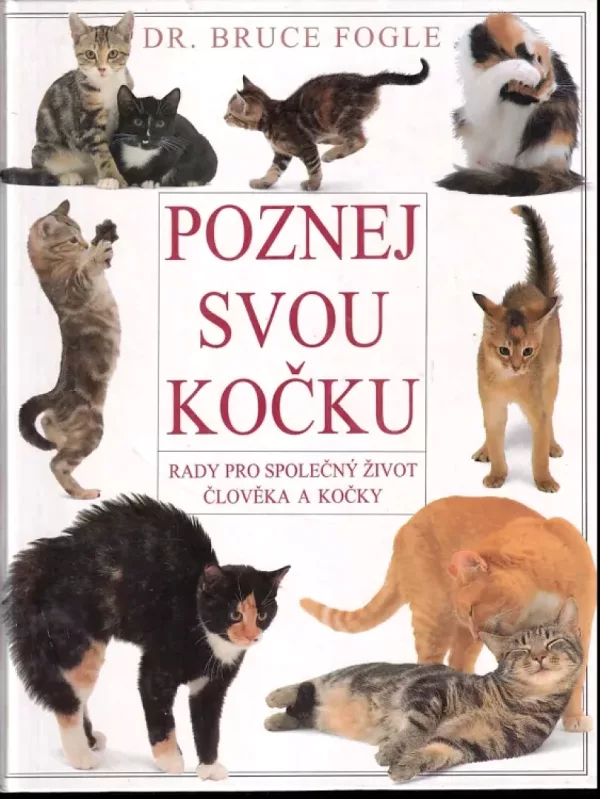 Poznej svou kočku