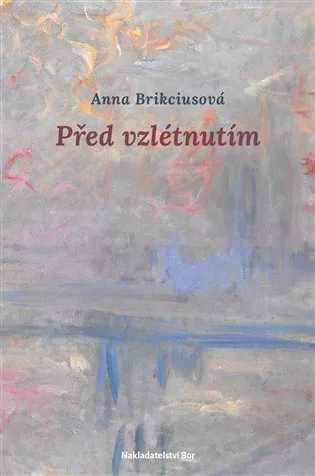 Před vzlétnutím