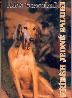 Příběh jedné saluki