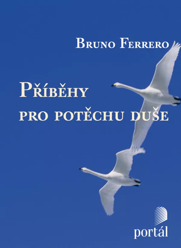 Příběhy pro potěchu duše, e-kniha