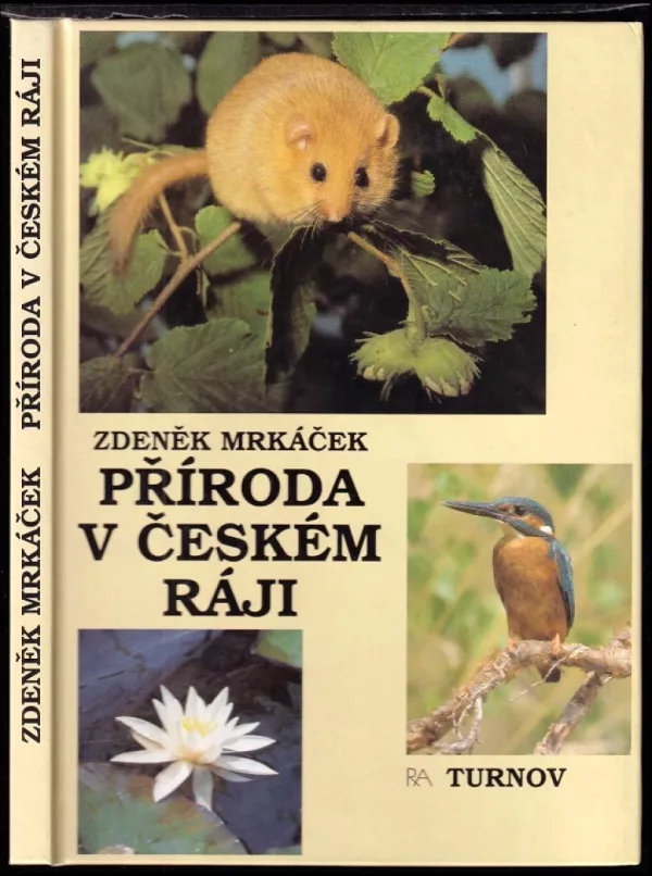 Příroda v Českém ráji
