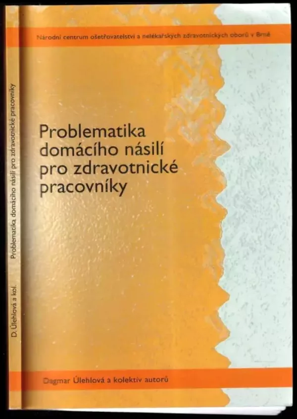 Problematika domácího násilí pro zdravotnické pracovníky