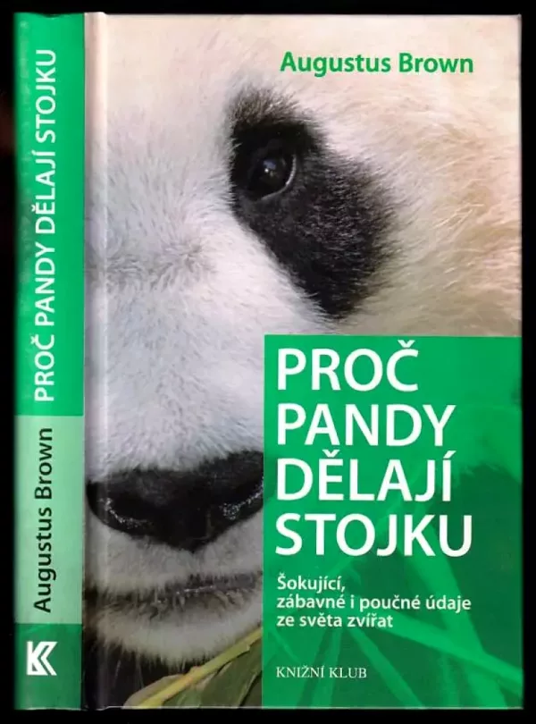 Proč pandy dělají stojku