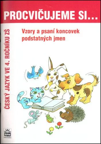 Procvičujeme si vzory a psaní koncovek podstatných jmen pro 4. r. ZŠ