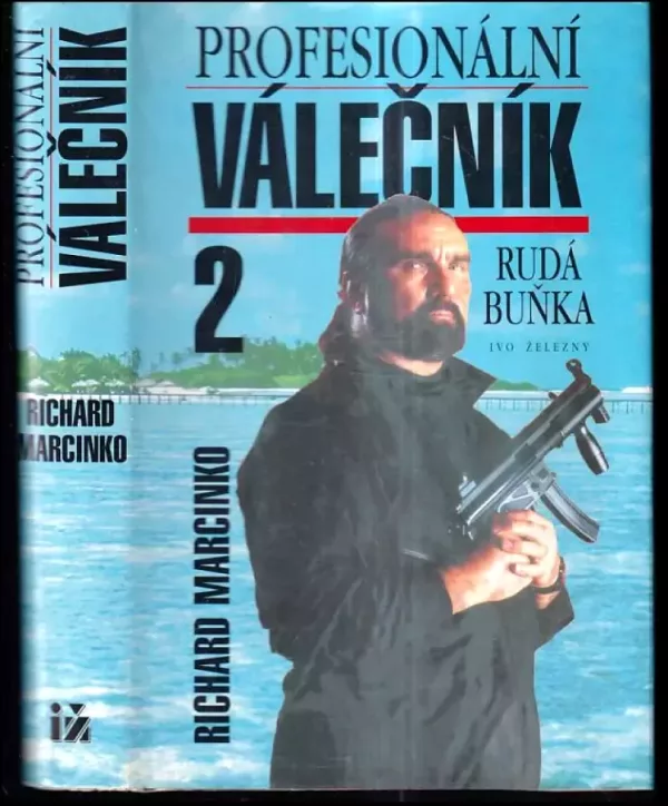 Profesionální válečník