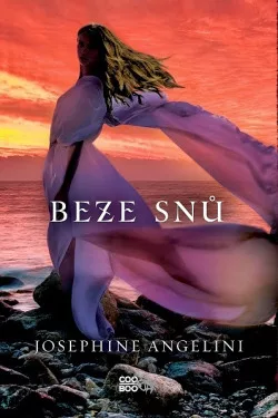 Beze snů