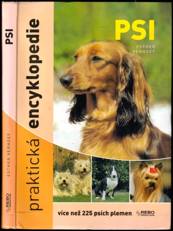 Psi