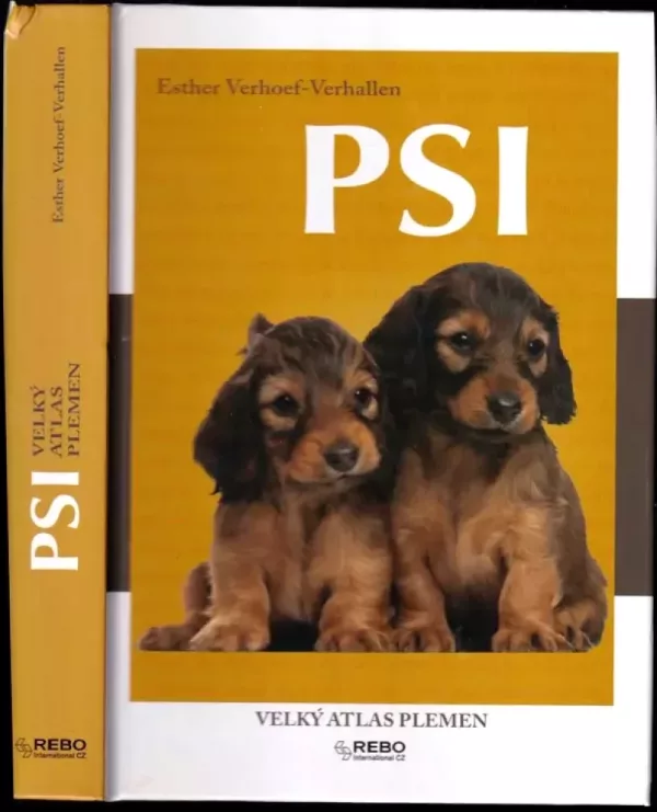 Psi
