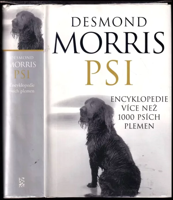 Psi
