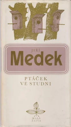 Ptáček ve studni