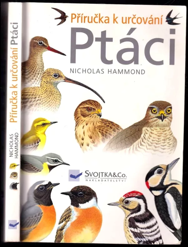 Ptáci