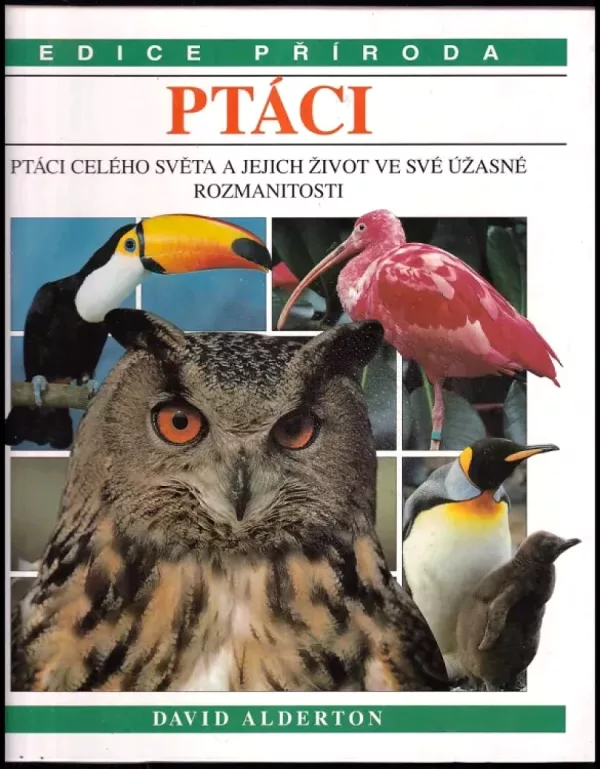 Ptáci