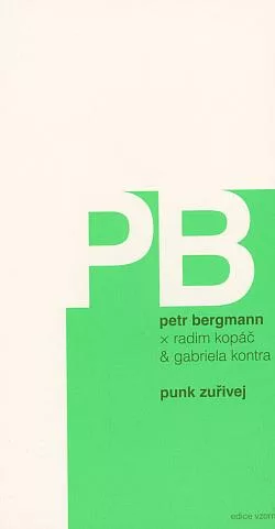 Punk zuřivej
