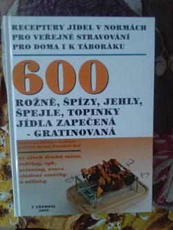 Receptury jídel v normách pro veřejné stravování, pro doma i k táboráku: Rožně, špízy, jehly, špejle, topinky, jídla zapečená...