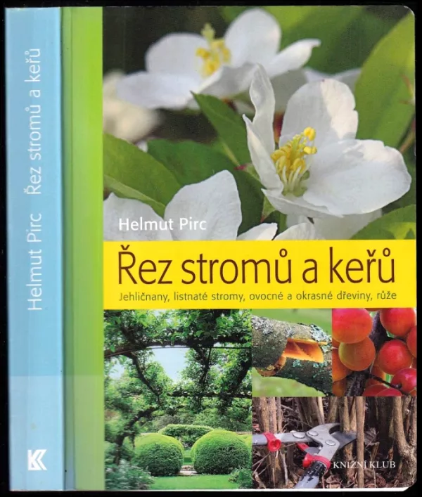 Řez stromů a keřů