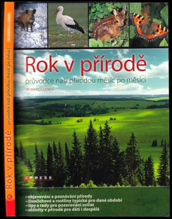 Rok v přírodě