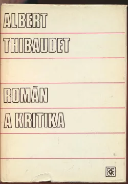 Román a kritika