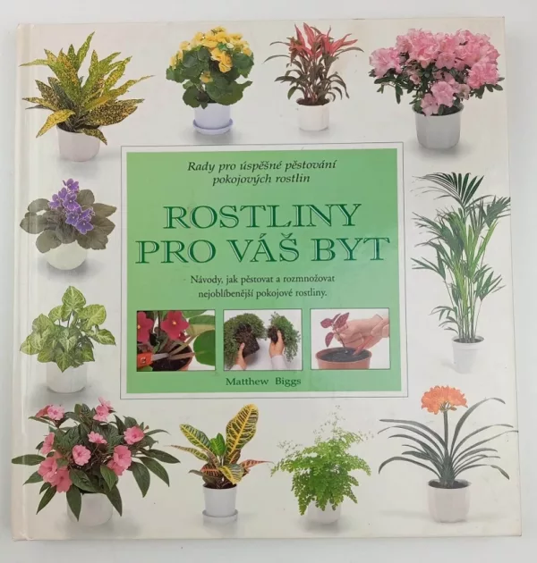 Rostliny pro váš byt