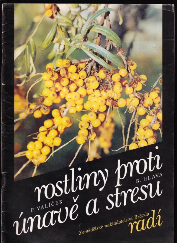 Rostliny proti únavě a stresu