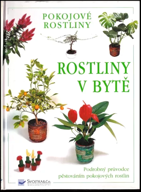 Rostliny v bytě