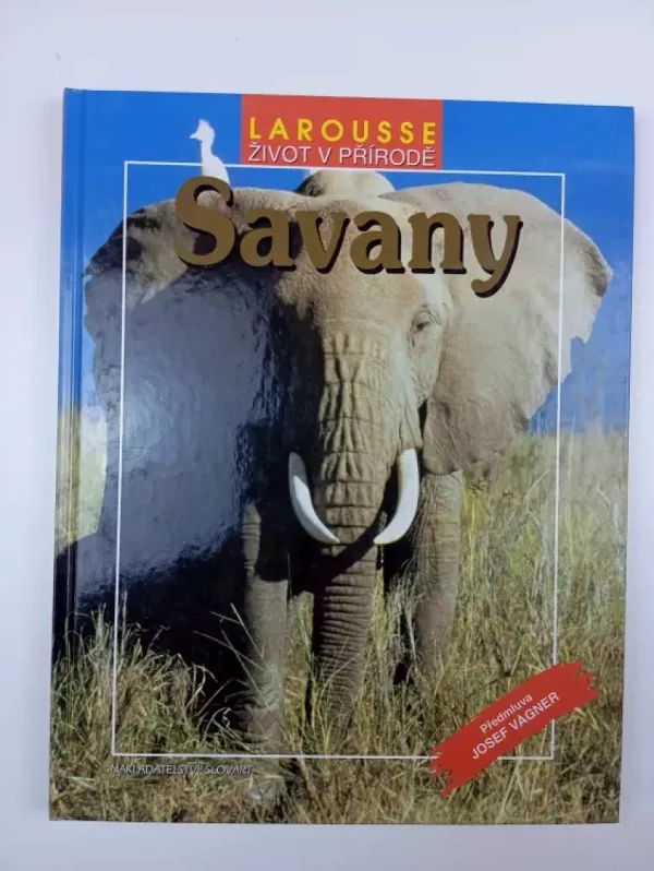 Savany