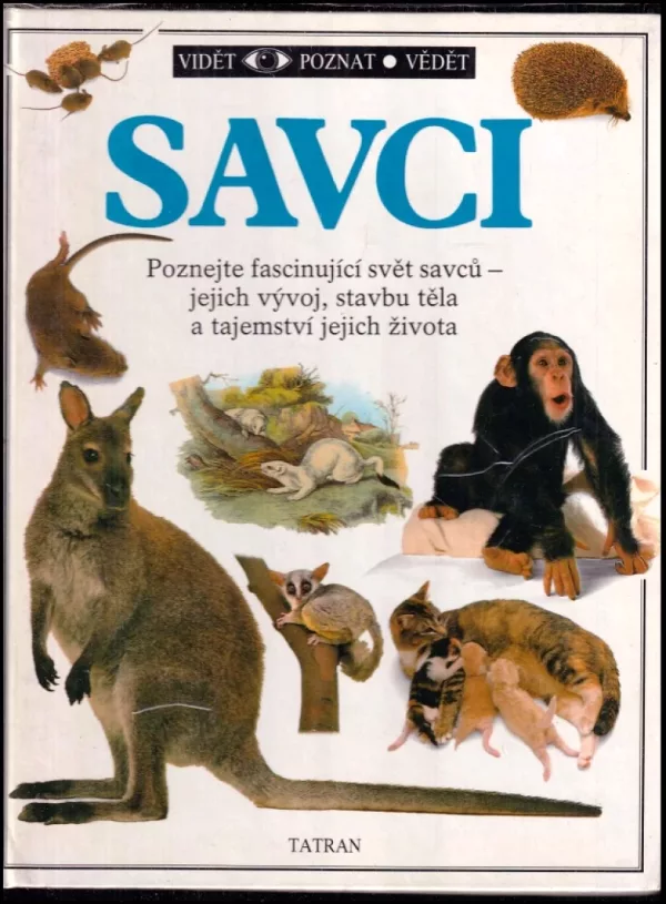 Savci
