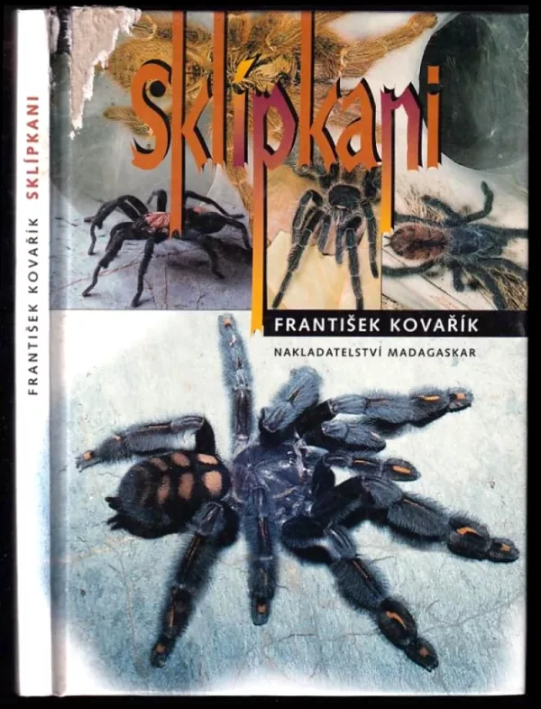 Sklípkani