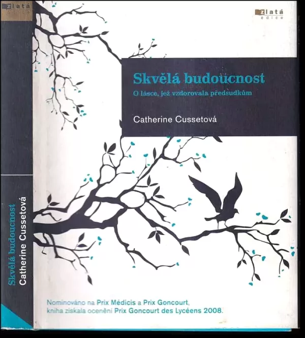 Skvělá budoucnost : o lásce, jež vzdorovala předsudkům