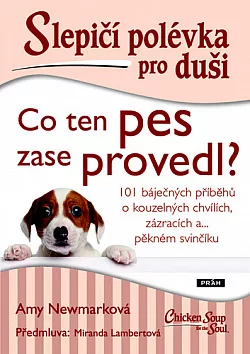 Slepičí polévka pro duši: Co ten pes zase provedl?