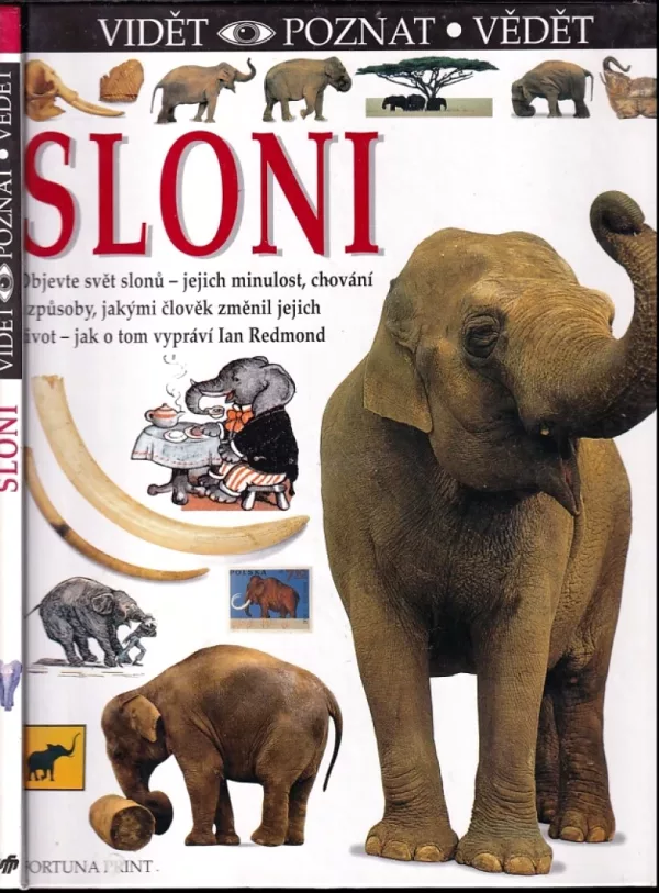 Sloni