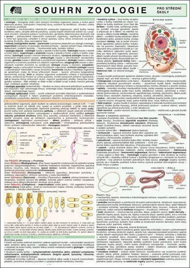 SOUHRN ZOOLOGIE pro SŠ A4