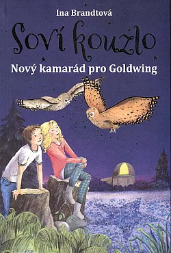 Nový kamarád pro Goldwing